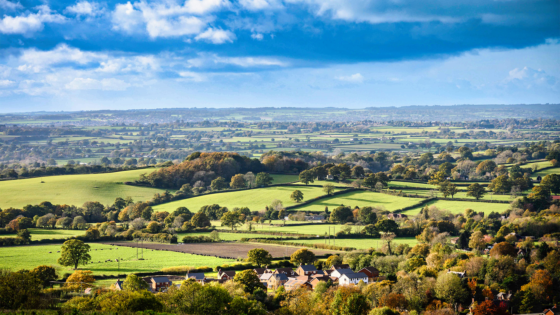 Picture ofThe Latest Property News & Insights